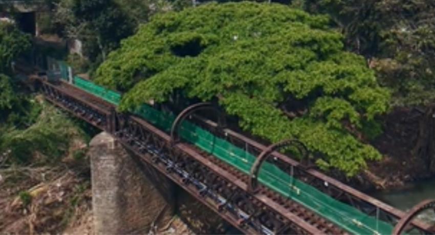 Peradeniya Bridge Nears Completion